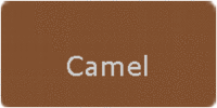 Schuhpflege Farbe Camel