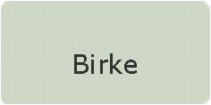 81-Birke